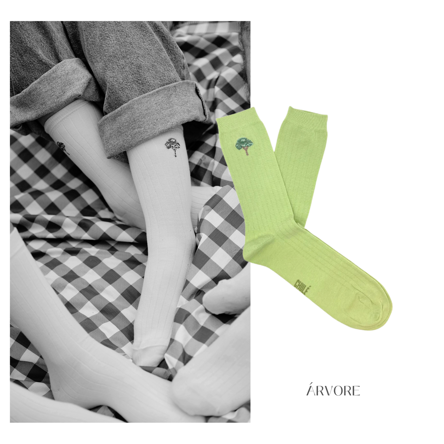 Chulé - árvore