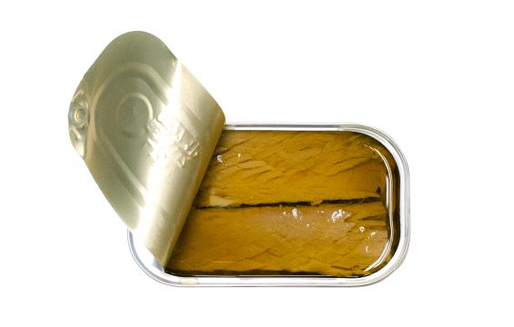 Jose Gourmet - Thunfischfilets in Olivenöl