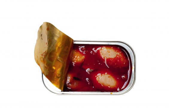 Jose Gourmet- Gefüllte Kalmartuben in Ragoutsauce