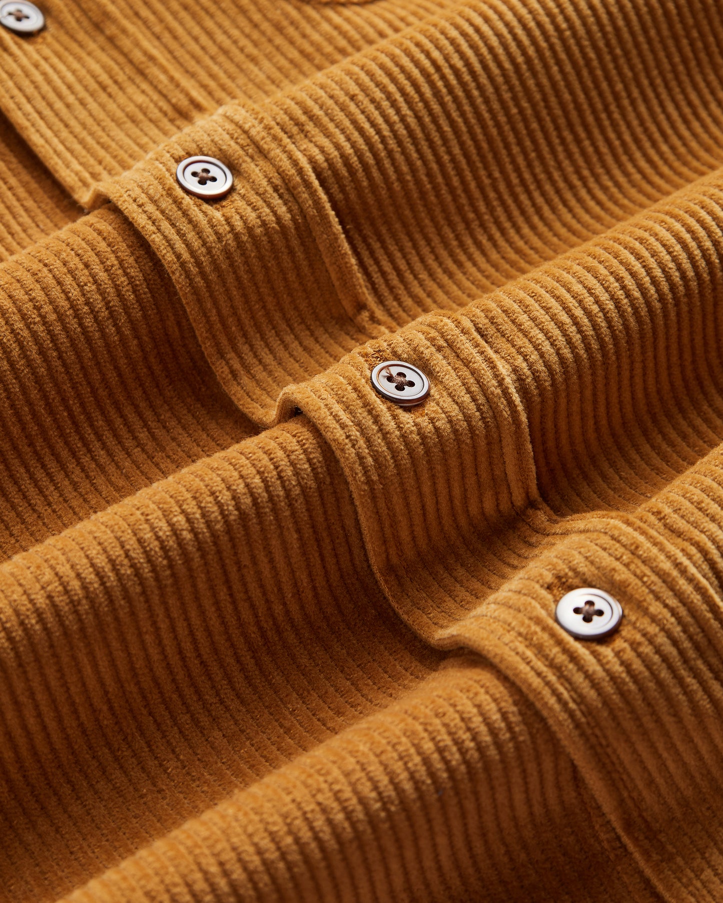 Portuguese Flannel AW25 - Lobo Prairie