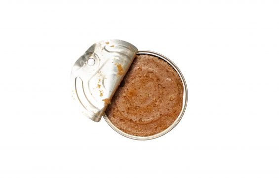 Jose Gourmet - Pikantes Sardinen-Mousse