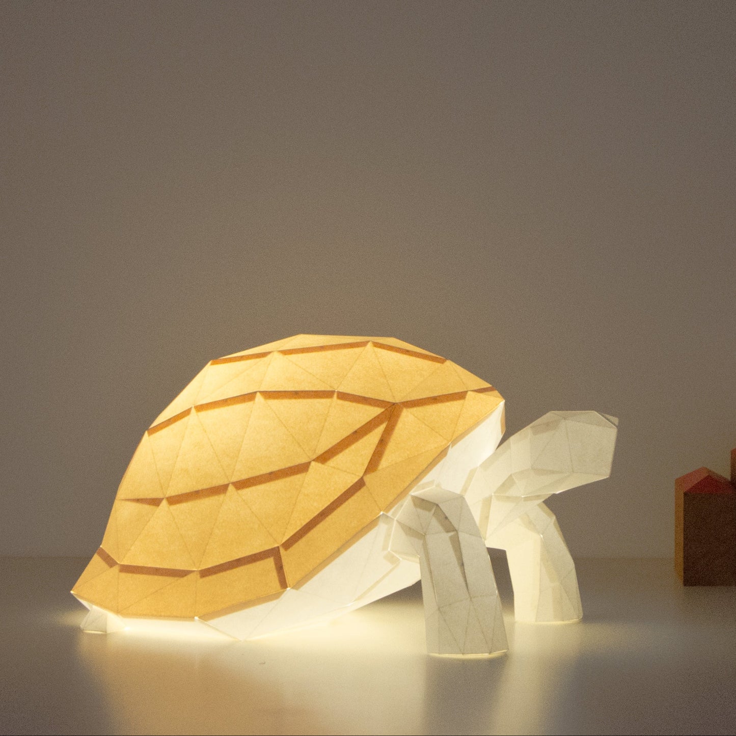 DIY Papierlampe - Landschildkröte - Owl Paper Lamps  -
