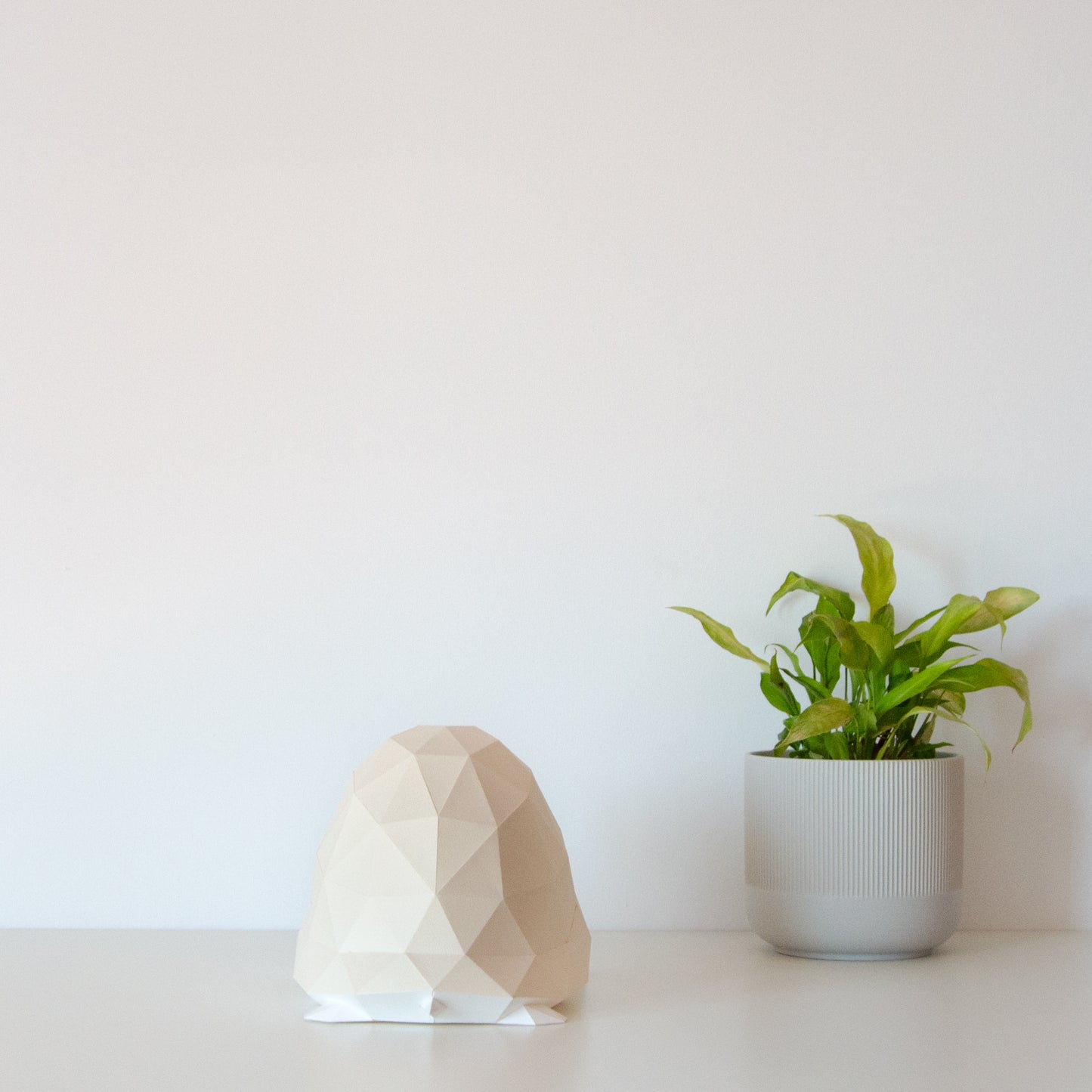 DIY Papierlampe - Landschildkröte - Owl Paper Lamps  -