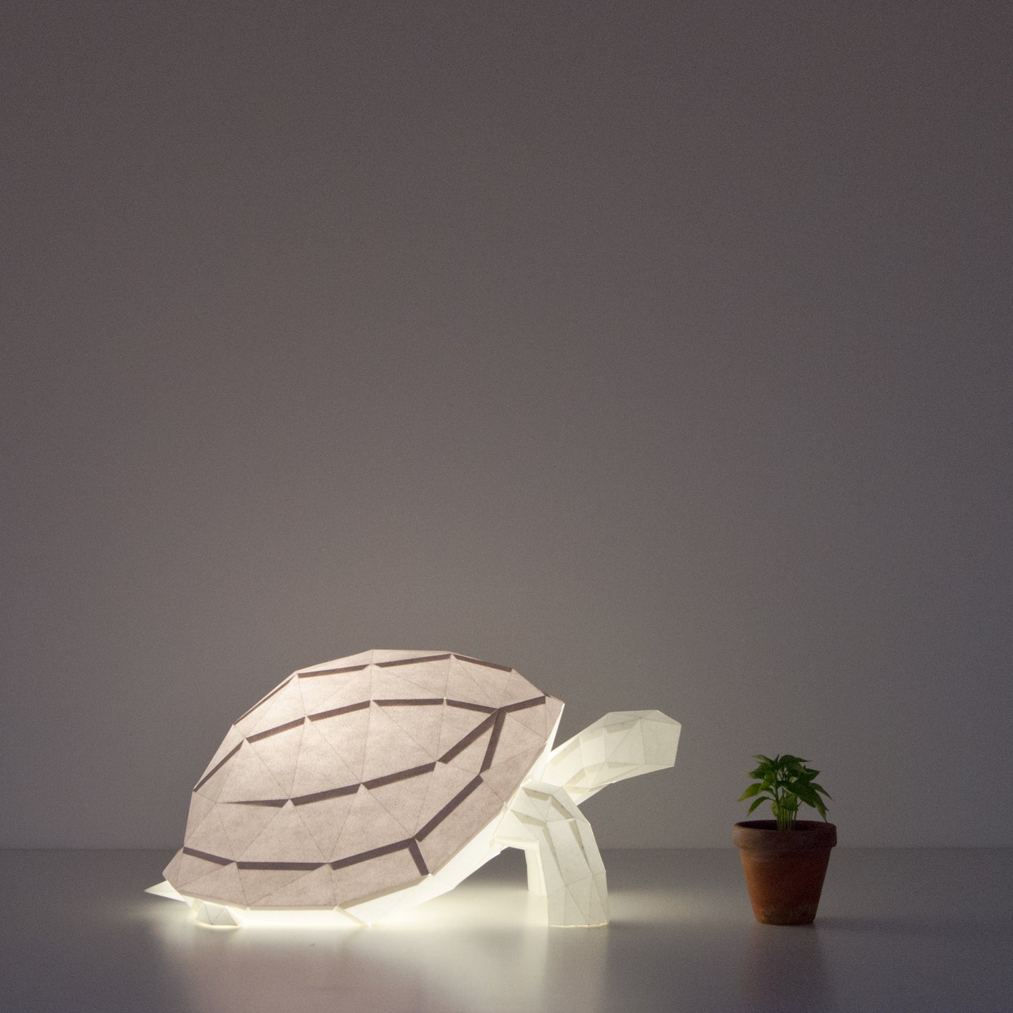DIY Papierlampe - Landschildkröte - Owl Paper Lamps  -