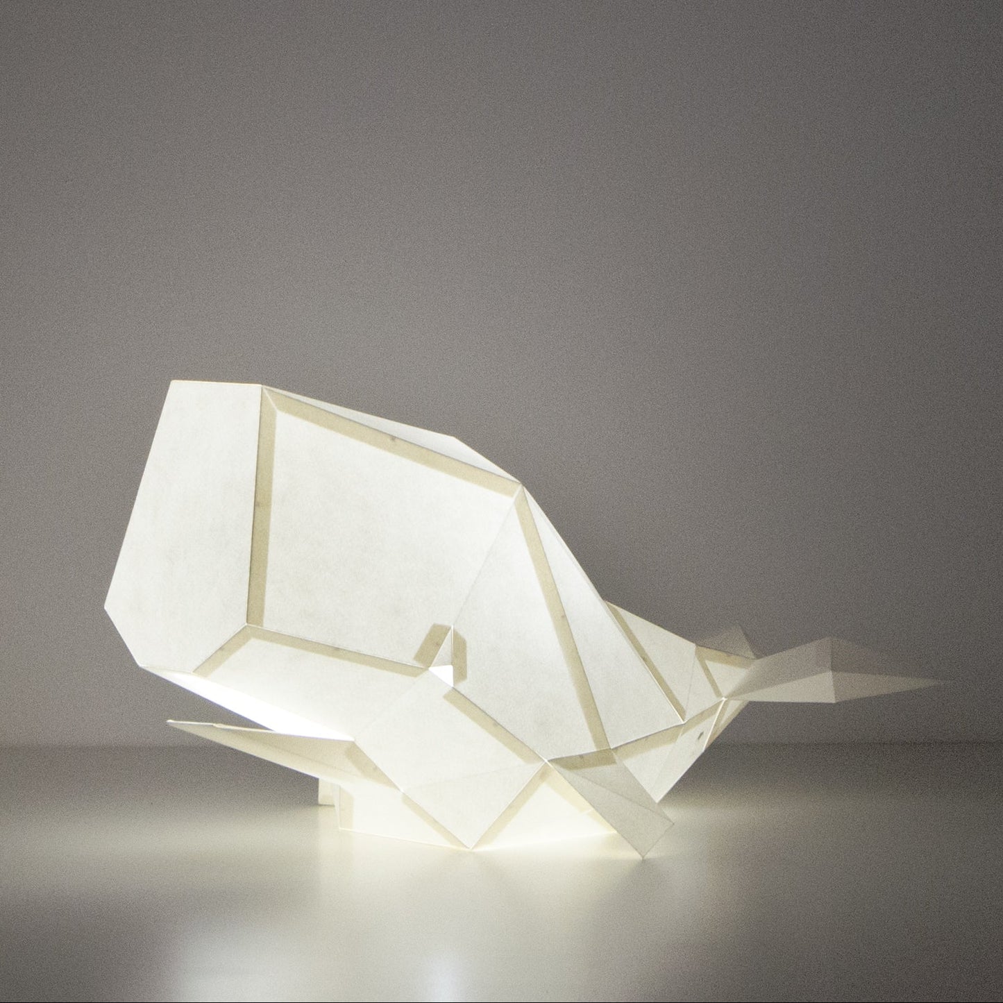 DIY Papierlampe - Pottwal - Owl Paper Lamps  -