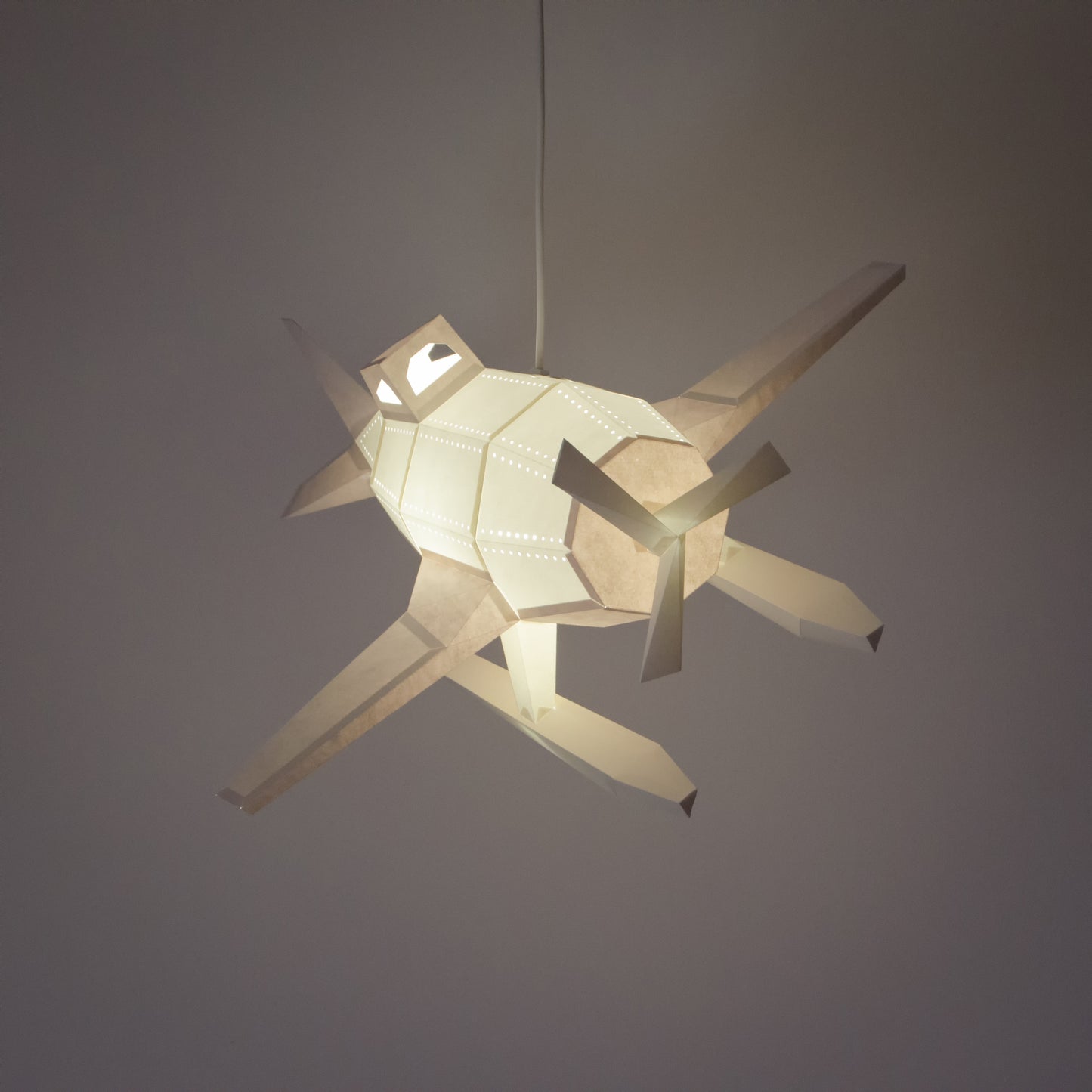 DIY Papierlampe - Wasserflugzeug - Owl Paper Lamps  -
