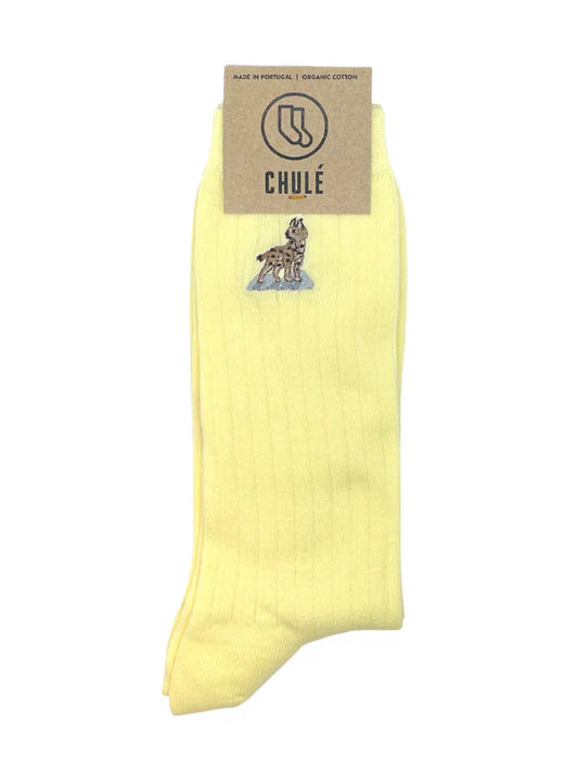Chulé - lince