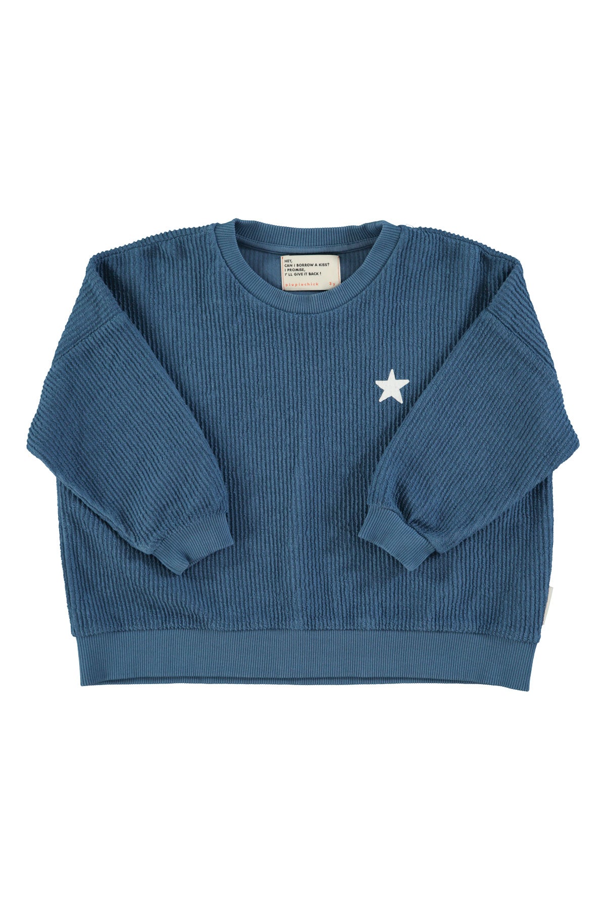 Piupiuchick AW25 - Logo sweatshirt | Blue