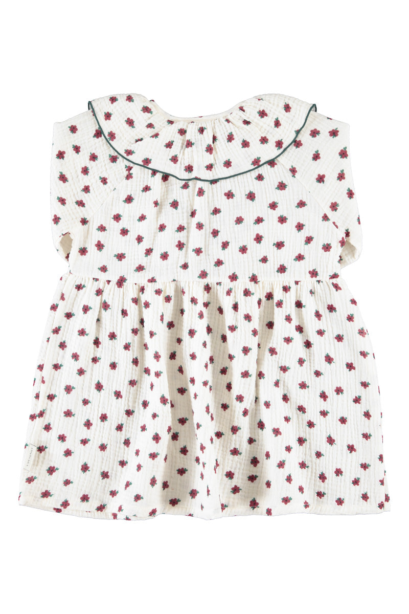 Piupiuchick AW26 - Weiße Kleider - 100% Bio-Baumwolle - Roten Blumen mit Kragen